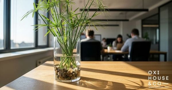 CÂY PHONG THỦY CHO NGƯỜI MỆNH MỘC