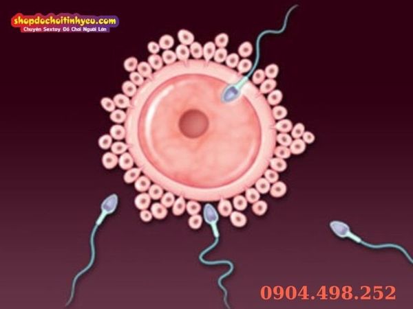 Tư Thế Quan Hệ Dễ Thụ Thai giúp tăng khả năng thụ tinh tự nhiên hiệu quả