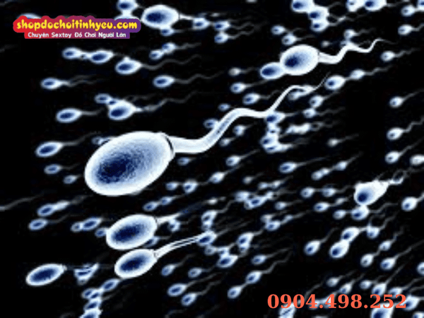 Bí quyết giúp nam giới bắn tinh xa và mạnh mẽ hơn