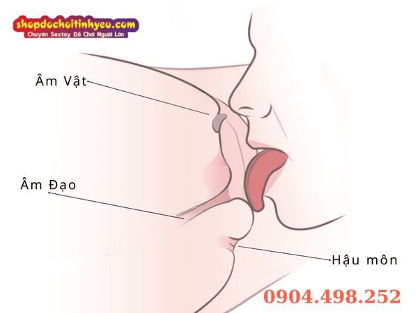 Kỹ thuật Cánh Bướm Rung Động