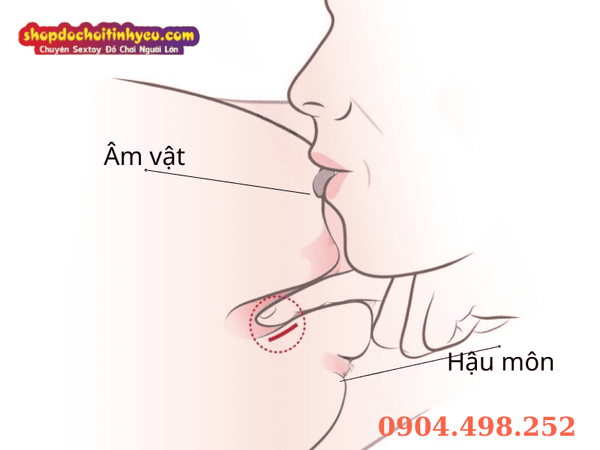 Kỹ thuật Ấn Huyệt Đáy Chậu
