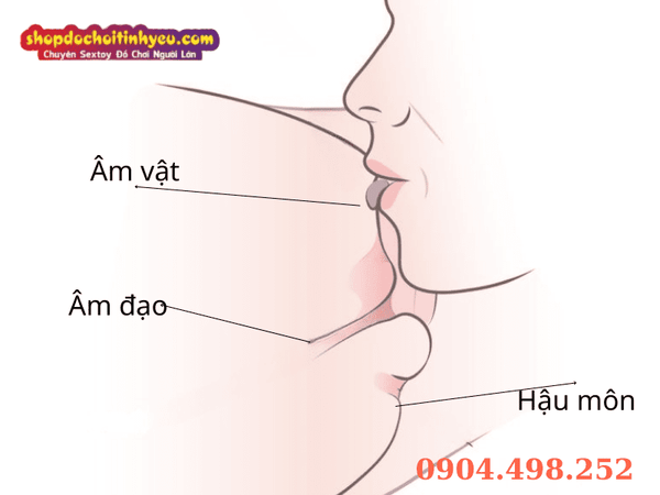 Kỹ thuật Mút Kem