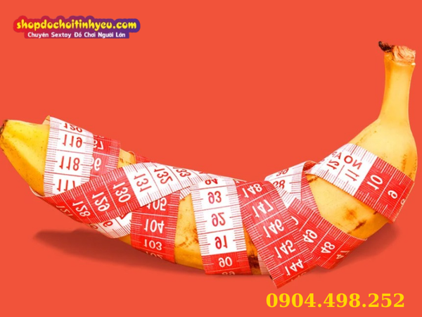 Giải phẫu niệu đạo nam và các cấp độ thâm nhập