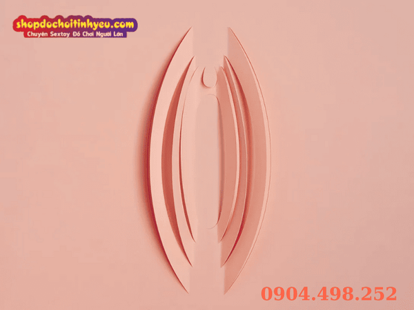 Mồng đốc là gì? Chìa khóa khoái cảm phụ nữ