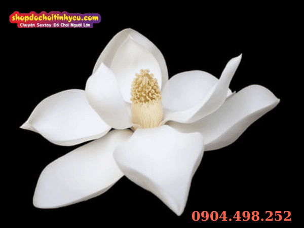Vị trí màng trinh và các hình dạng phổ biến