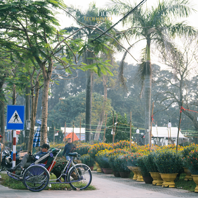 du lịch huế dịp tết