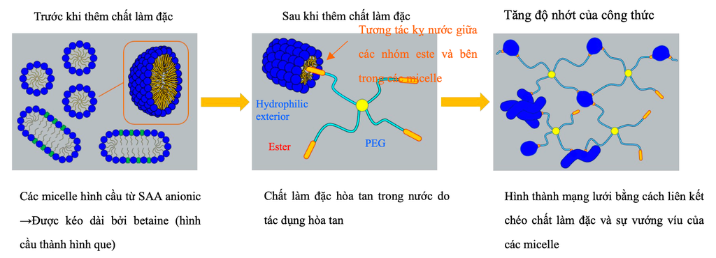 Cơ chế làm đặc của PEGNOL TS-150PE