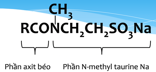 Nguồn gốc nguyên liệu CN-30-SF
