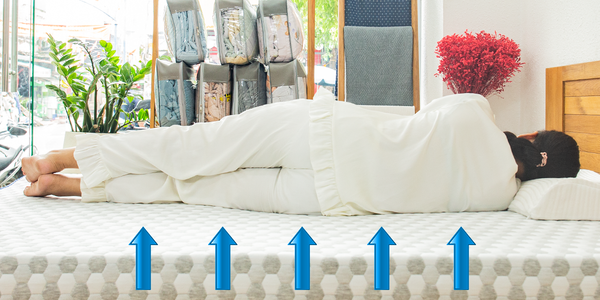 Nệm cao su than hoạt tính