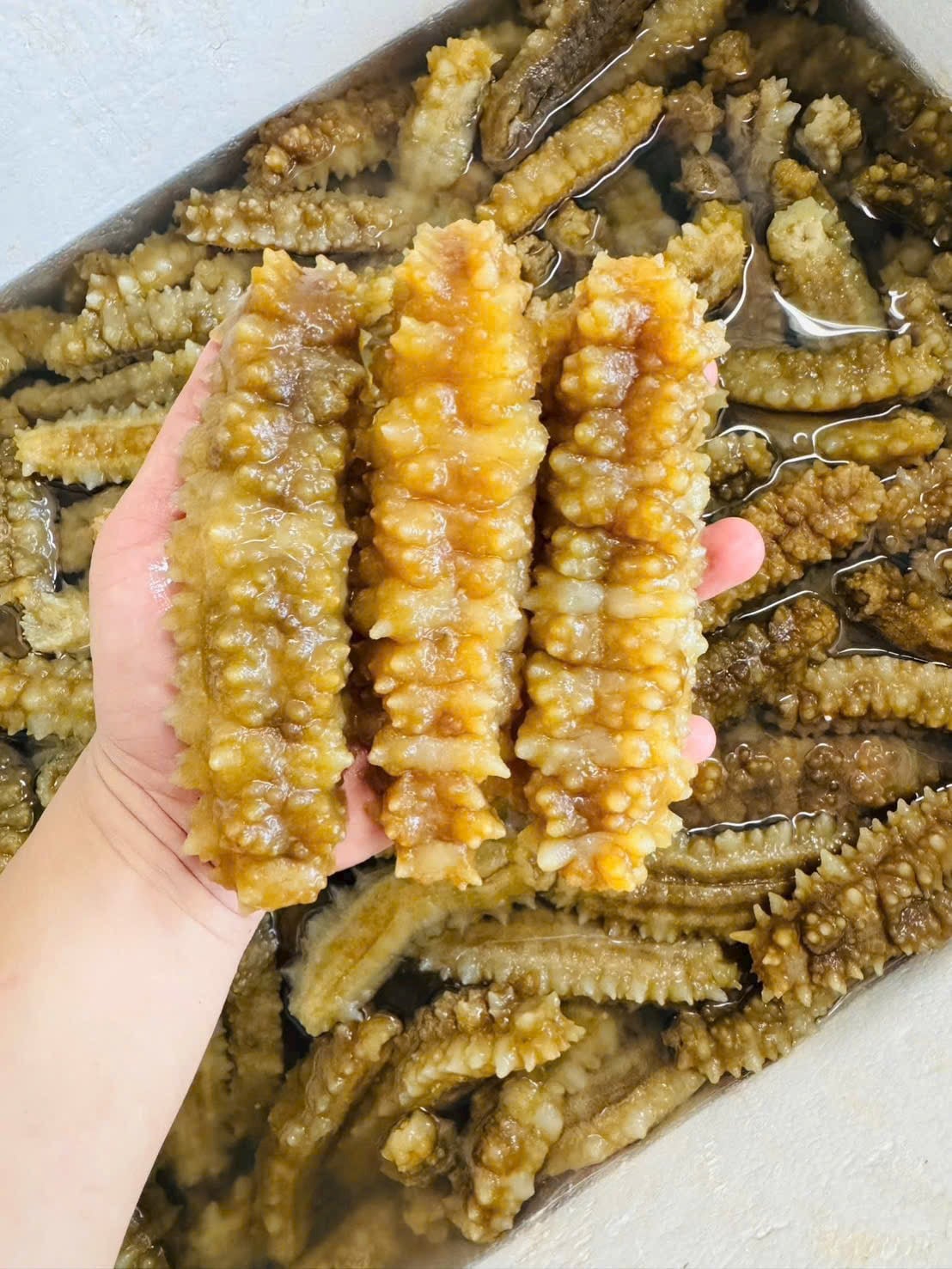 Công thức làm Hải Sâm Gai Vàng sốt bào ngư nấm hương chuẩn vị nhà hàng