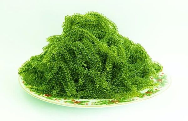 Hướng dẫn làm Salad Rong Nho Thanh Long, Xoài: Món ăn thanh nhiệt, đẹp da