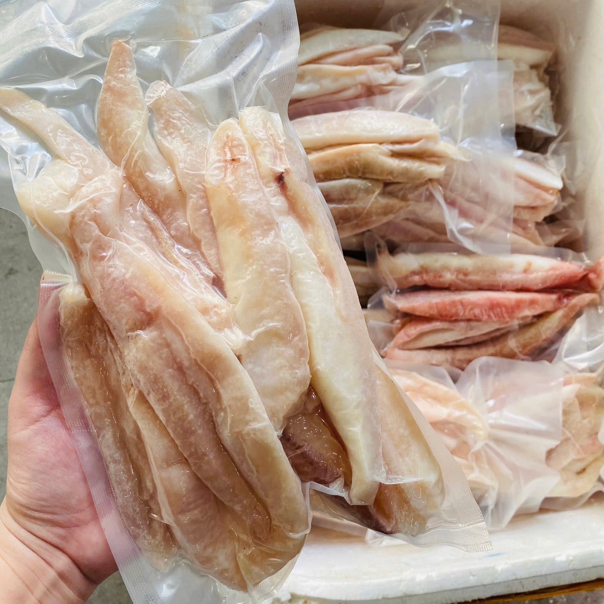 Mua Gân Cá Ngừ Đại Dương giao hàng tận nơi Hà Nội