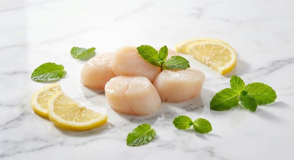 Mua cồi sò mai ở đâu TPHCM