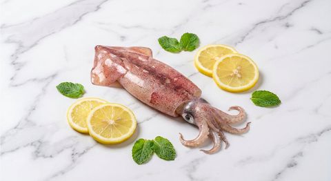 Mua mực trứng Cà Mau tươi sống ở đâu TPHCM
