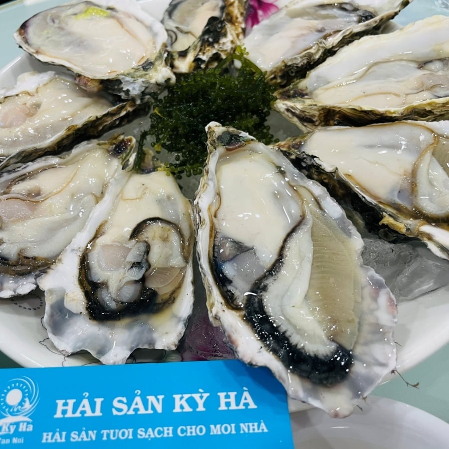 Nơi cung cấp hàu sashimi Nissi đã tách sẵn