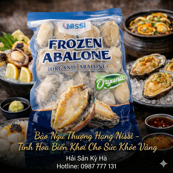 Bào ngư Nissi đông lạnh giá sỉ tphcm