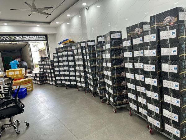 Bào Ngư hàng luôn sẵn kho số lượng lớn