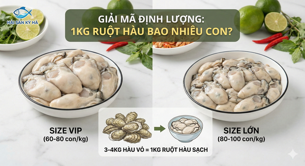 1kg ruột hàu bao nhiêu con, ruột hàu sữa size VIP