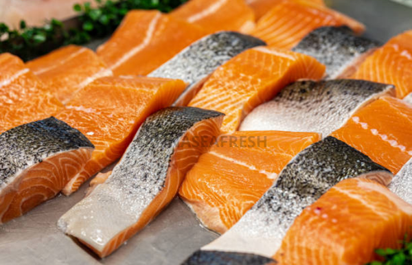 ca-hoi-tuoi-va-ca-hoi-dong-lanh-5