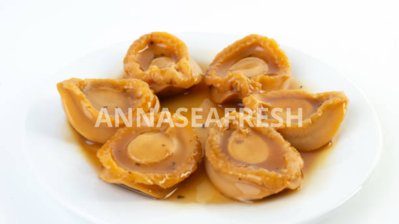 dinh-duong-bao-ngu-1