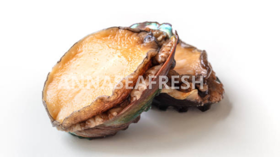 dinh-duong-bao-ngu-2