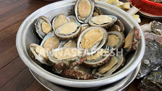 dinh-duong-bao-ngu-5