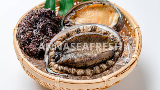 dinh-duong-bao-ngu-6