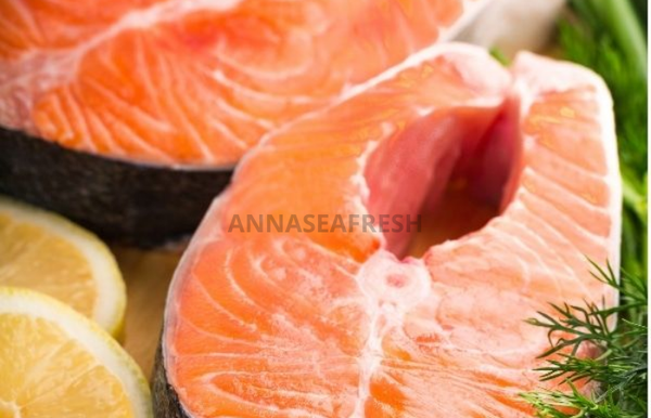 ca-hoi-tuoi-va-ca-hoi-dong-lanh-2