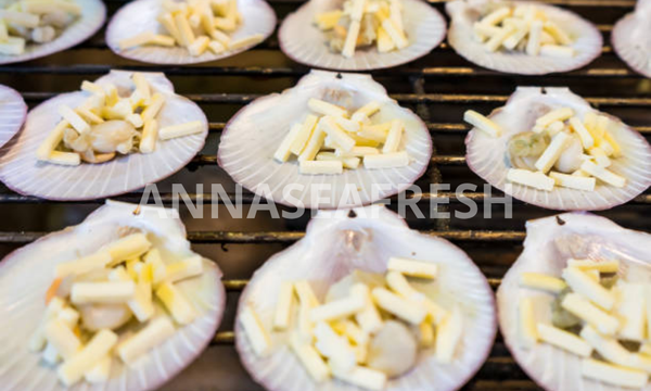 so-diep-va-suc-khoe-2