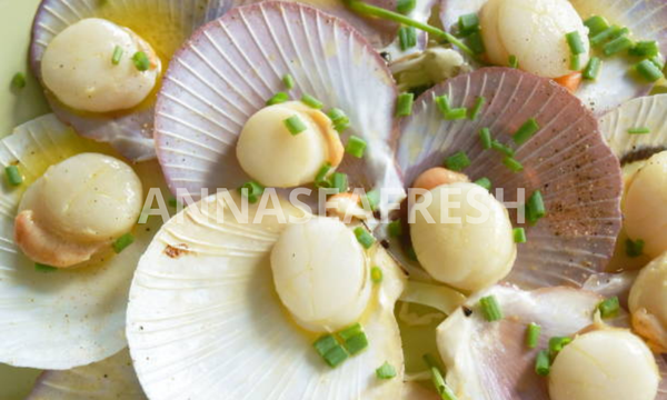 so-diep-va-suc-khoe-3