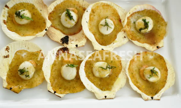 so-diep-va-suc-khoe-4