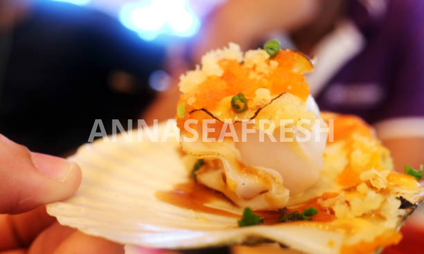 so-diep-va-suc-khoe-5