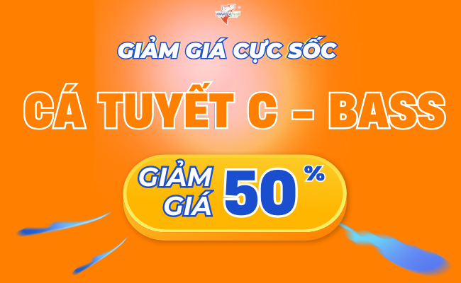 Ưu đãi của chúng tôi