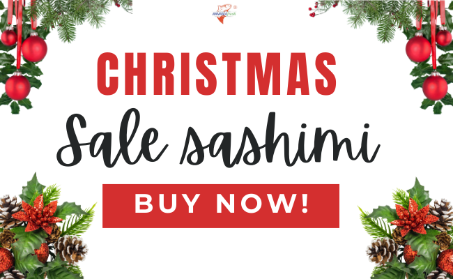 Ưu đãi của chúng tôi