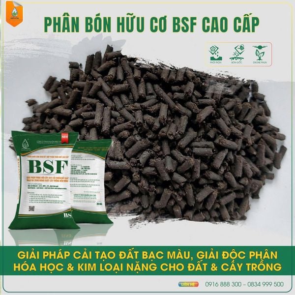 Lý do phân bón hữu cơ vi sinh – sinh học BSF là lựa chọn hàng đầu cho nông nghiệp bền vững