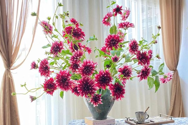 Top Các Loại Hoa Cắm Tết Đẹp – Mang May Mắn, Rước Lộc Đầu Năm