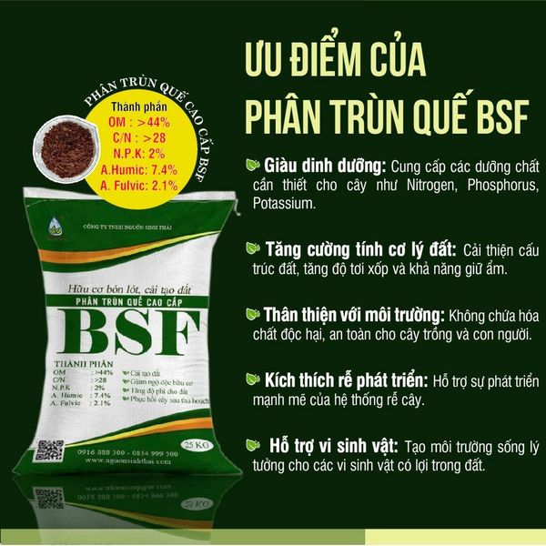 Lý do phân bón hữu cơ vi sinh – sinh học BSF là lựa chọn hàng đầu cho nông nghiệp bền vững