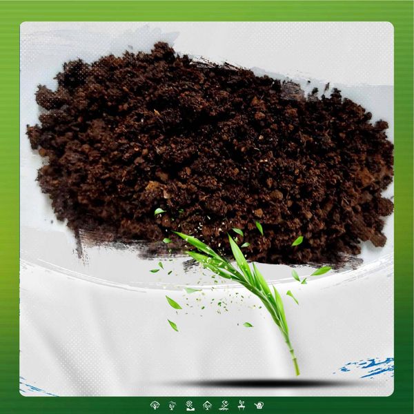 Phân Ruồi Lính Đen BSF Vi Sinh – Giải Pháp Cải Tạo Đất & Dưỡng Rễ Bền Vững