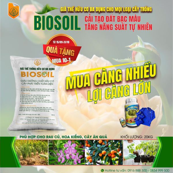 Biosoil – Giá thể hữu cơ đa dụng: Giải pháp cải tạo đất bạc màu, tăng năng suất tự nhiên