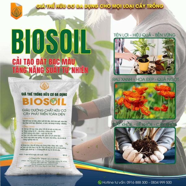 Biosoil – Giá thể hữu cơ đa dụng: Giải pháp cải tạo đất bạc màu, tăng năng suất tự nhiên