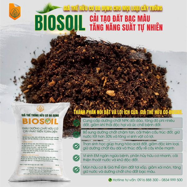 Biosoil – Giá thể hữu cơ đa dụng: Giải pháp cải tạo đất bạc màu, tăng năng suất tự nhiên