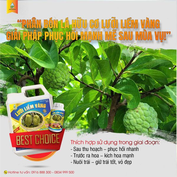 Phân Bón Lá Hữu Cơ Sinh Học Lưỡi Liềm Vàng – Giải Pháp Phục Hồi Nhanh Cho Cây Trồng Sau Thu Hoạch