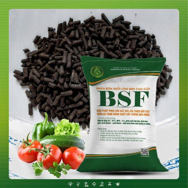 Phân Ruồi Lính Đen BSF Sinh Học – Giàu Dinh Dưỡng, Cải Tạo Đất Bền Vững