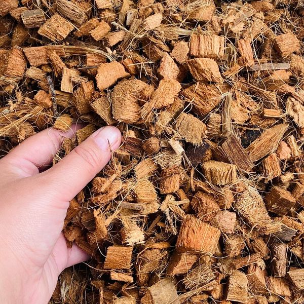 Vỏ xơ dừa cắt – Giá thể hữu cơ hoàn hảo cho hoa kiểng lá, phong lan và cây cảnh