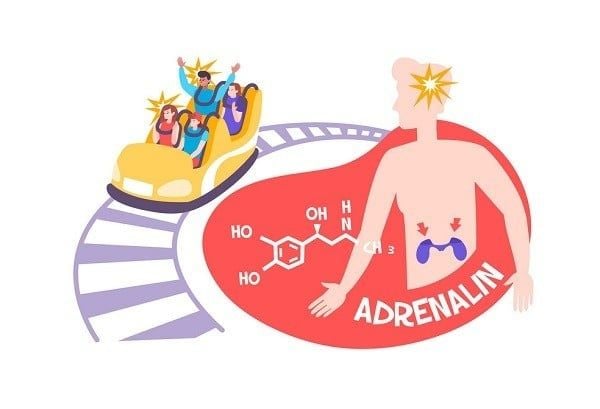 cách kích thích adrenaline tự nhiên