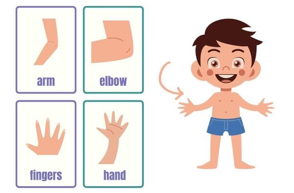 Câu đố vui về bộ phận cơ thể người có đáp án