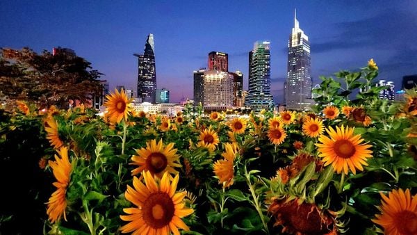 công viên bờ sông Sài Gòn