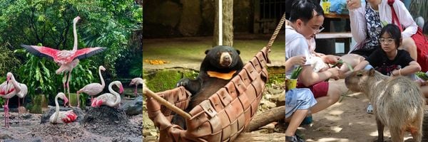 hoạt động ngoại khóa hcm