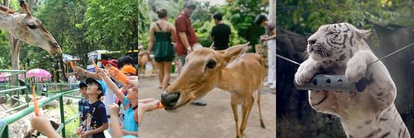 hoạt động ngoại khóa hcm