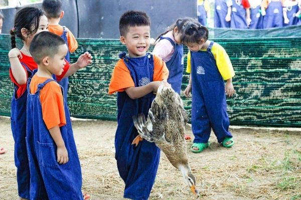 hoạt động ngoại khóa hcm ngoài trời nông trại